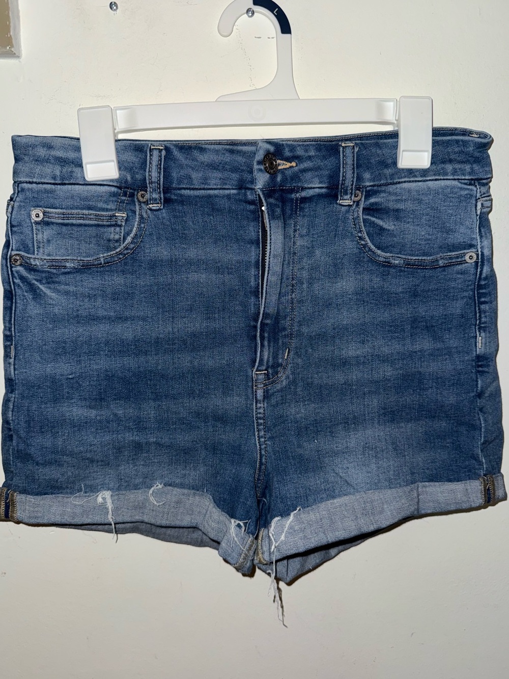 American Eagle Denim Shorts